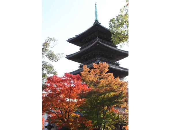 Yagotosan Koshoji Temple