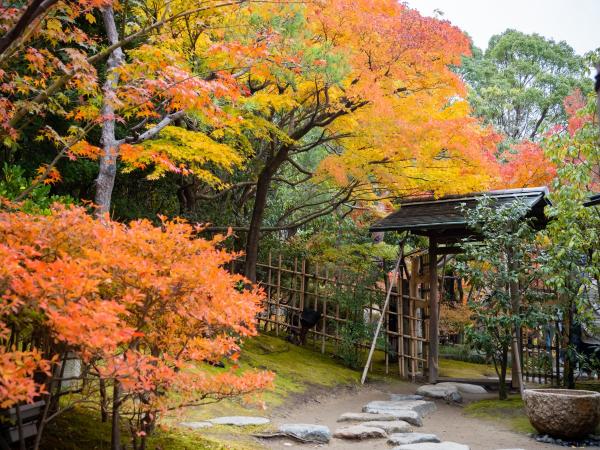 Shiratori Garden