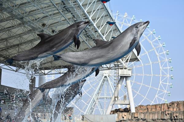 名古屋港水族館