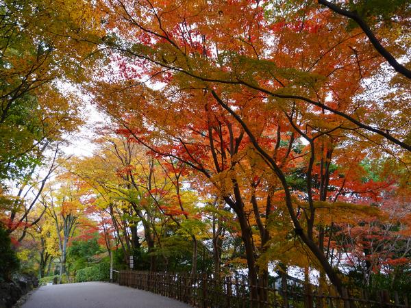 東山動植物園