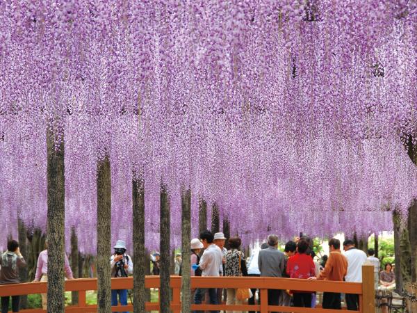 津島天王川公園以及周邊