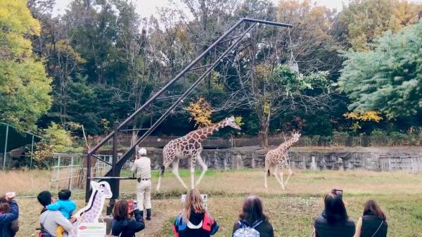 สวนสัตว์และสวนพฤกษศาสตร์ฮิกาชิยามะ (ฝั่งสวนสัตว์)