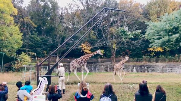 Higashiyama Zoo and Botanical Gardens (Zoo Site)