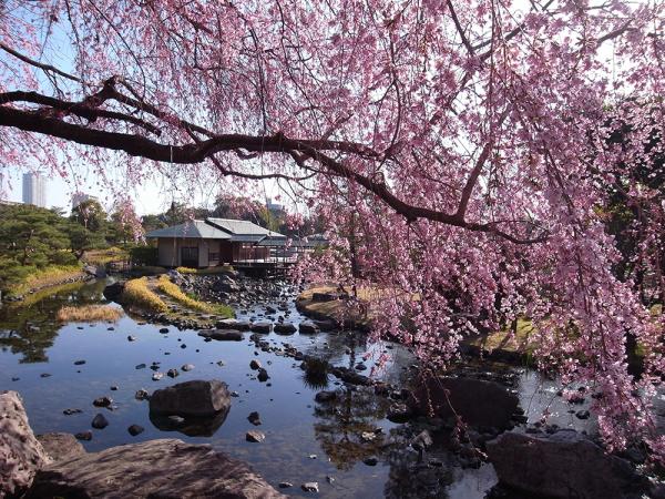 Shiratori Garden