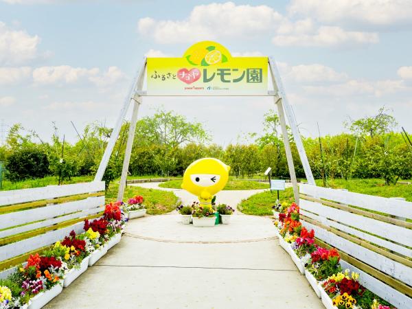 東谷山フルーツパーク　レモン園