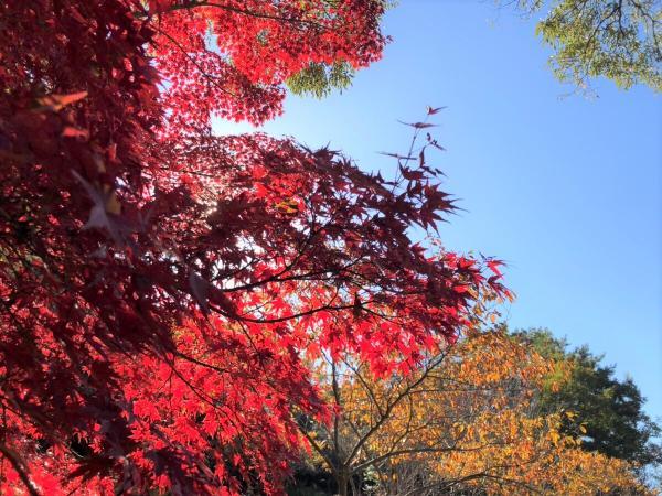 Higashiyama Zoo and Botanical Gardens