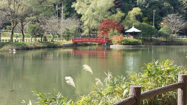 Jokoji Temple/Jokoji Park