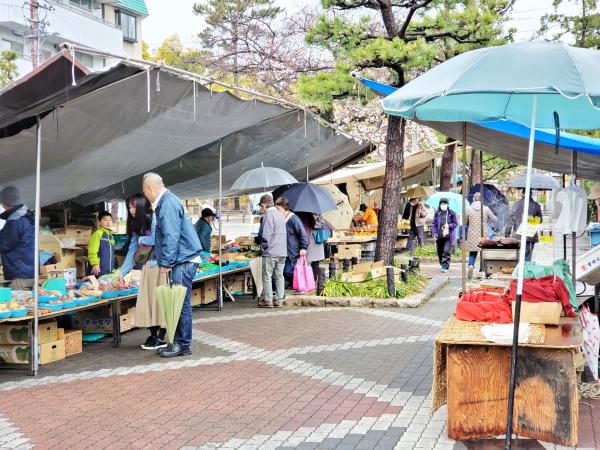 豊國参道青空市 九の市