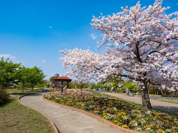 農業文化園・戸田川緑地の桜