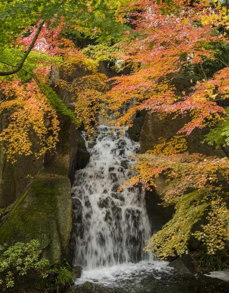 名古屋的紅葉特集 專題 名古屋旅遊官方網站visit Nagoya 名古屋的紅葉特集 專題 名古屋旅遊官方網站visit Nagoya