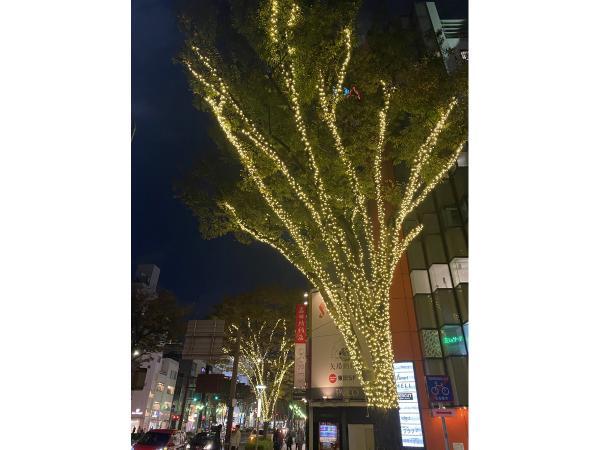 Minami Otsu-dori and Minami Ise-cho-dori Streets' Sakae-Minami/Osu Winter Illumination