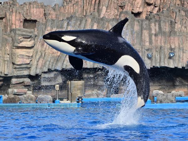 Nagoya Port Aquarium