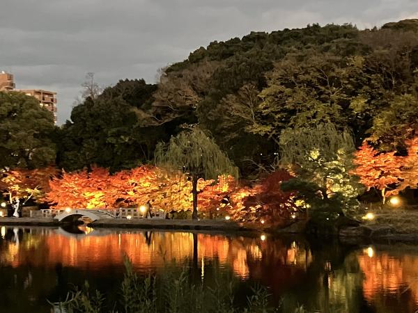 徳川園 龍仙湖 紅葉