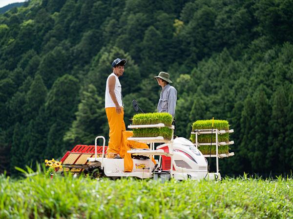 萬乗醸造　田植え