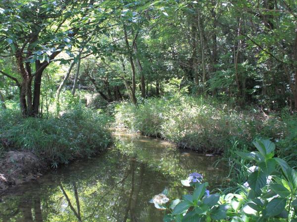 牧野ヶ池緑地