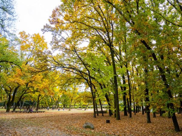 名城公園