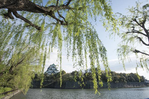 名城公園から見た名古屋城