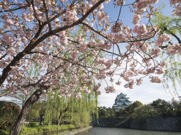 Nagoya Castle and cherry blossoms