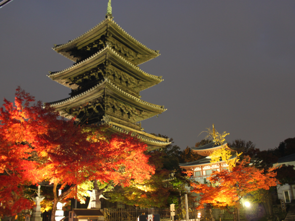 秋の五重塔