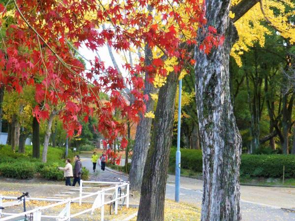 名城公園