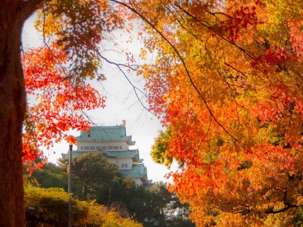 名城公園