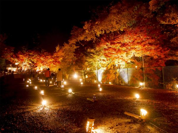 岩屋堂公園