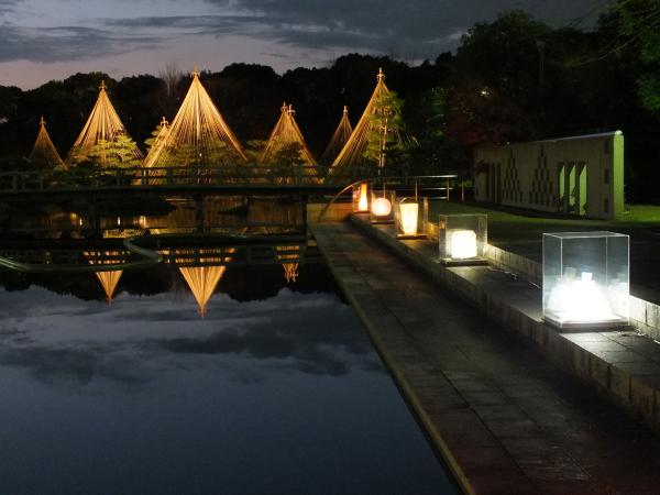 白鳥庭園 ライトアップ