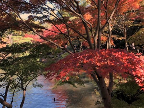 Higashiyama Zoo and Botanical Gardens