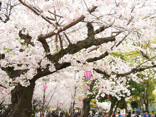 Tsuruma Park