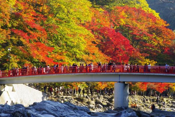 香嵐渓　待月橋