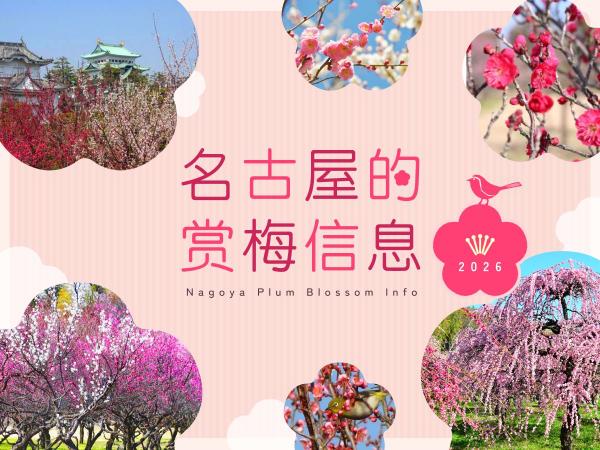 赏梅资讯