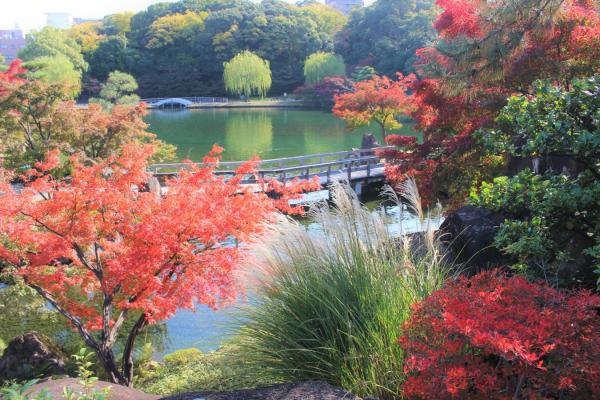 徳川園　大曽根の瀧　紅葉