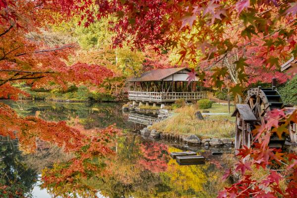 東山動植物園　もみじ狩り