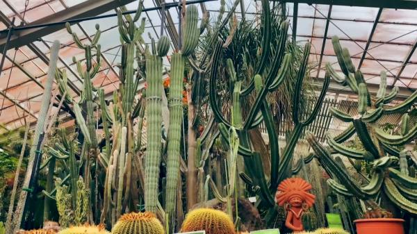 東山動植物園（植物園網站）