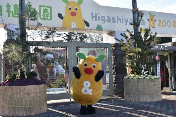 東山動植物園 正月の催し