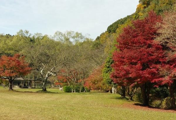 定光寺・定光寺公園