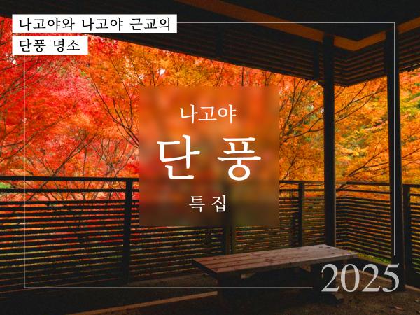 나고야의 단풍 특집