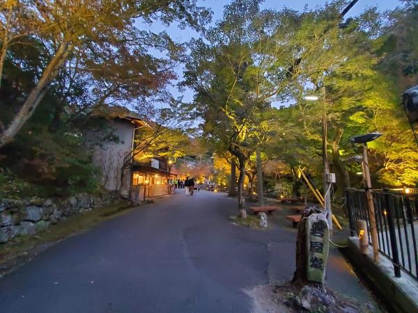 岩屋堂公園