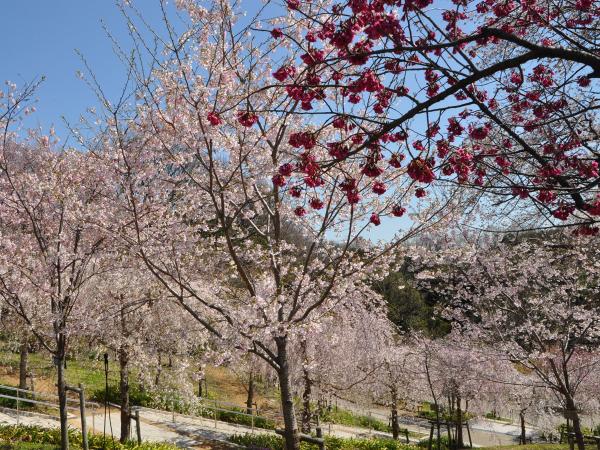 Higashiyama Zoo and Botanical Gardens