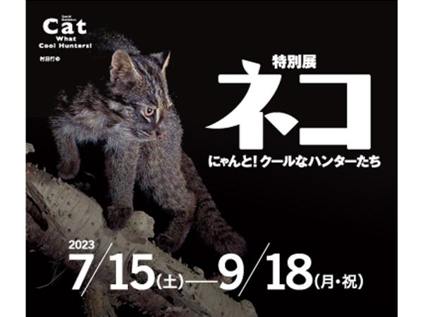 特別展「ネコ」~にゃんと!クールなハンターたち~
