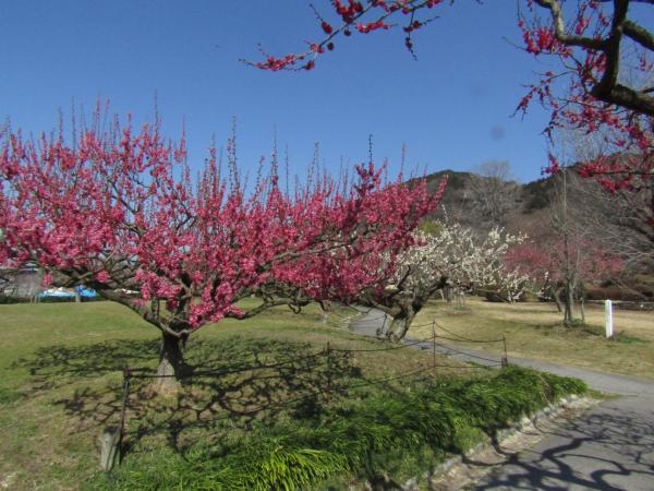 東谷山フルーツパーク