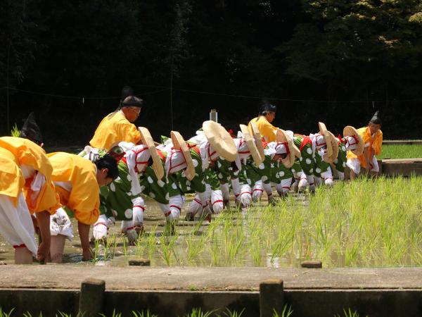 大高斎田御田植祭