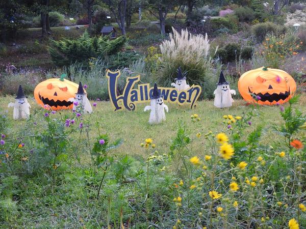 ハッピーフラワーハロウィン in ブルーボネット
