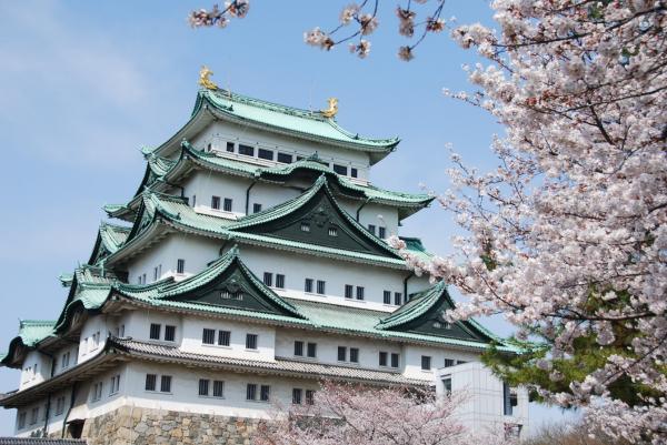 Nagoya Castle and cherry blossoms