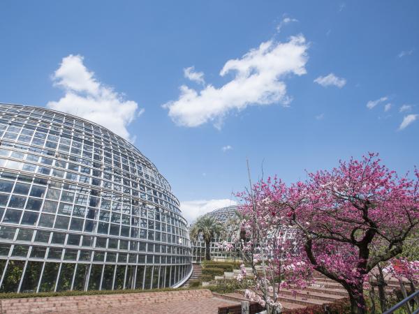 東谷山水果公園