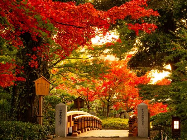 Tokugawaen Gardens