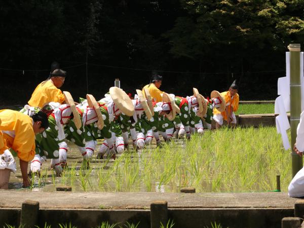 大高斎田御田植祭