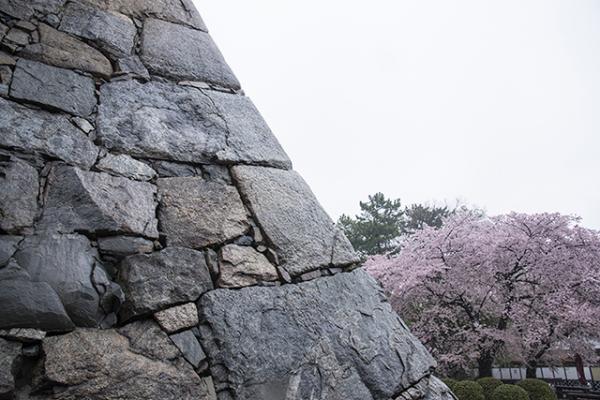 名古屋城の石垣