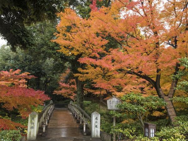 徳川園 虎仙橋 紅葉