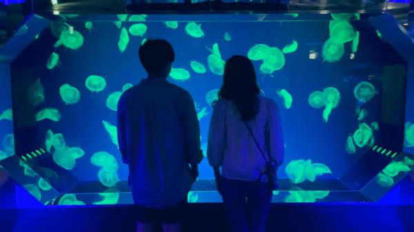 名古屋港水族館